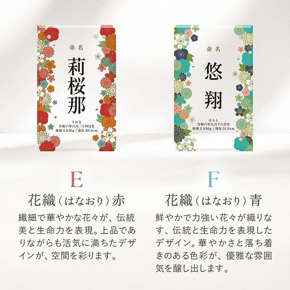  第11張的照片