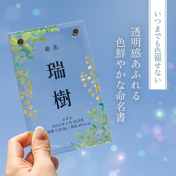  第6張的照片