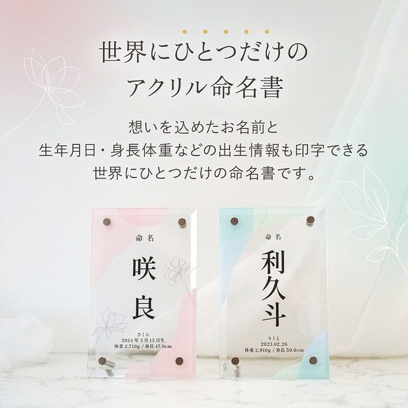  第2張的照片