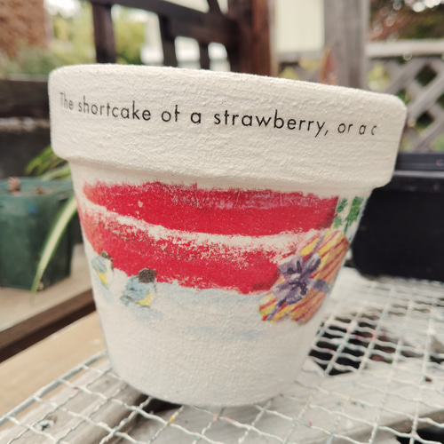 セール(⁠ ⁠ꈍ⁠ᴗ⁠ꈍ⁠) 可愛いにゃんこ リメイク鉢4号 寄せ植え 飾り