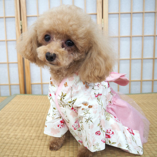 和んぴぃす ワンピ パピー 小型犬 犬 猫 ペット 服 犬服 猫服 着物P733 和んぴぃす ワンピース ワンピ ドレス 和服 和装 和柄 古典柄