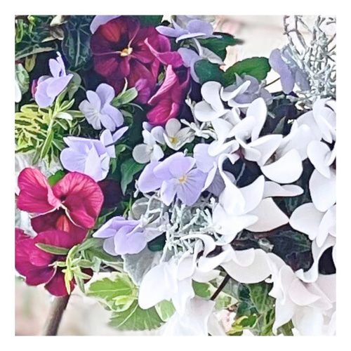 ビオラとガーデンシクラメンの寄せ植えリース ☆*:.｡. 幸せのwreath