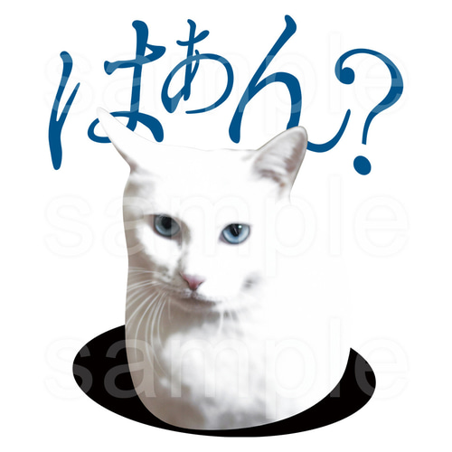 白ねこミームスウェット「はぁん?」 スウェット・トレーナー ｢MessagE  