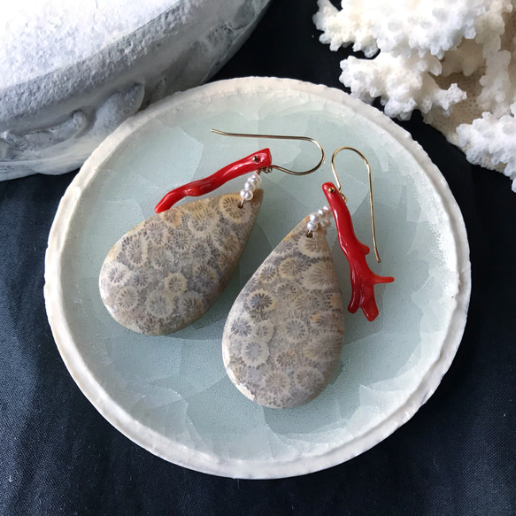 K14gf】フォッシルコーラルと天然珊瑚のピアス(イヤリング) ピアス