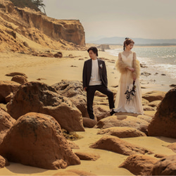 実例写真！トップス アイボリー ふわふわ袖 ソフトチュール 花嫁