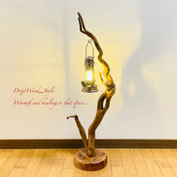 流木インテリア 芸術的にうねる枝の流木スタンド ランタンやエアプラントを飾れる置物 北欧 照明 木材 癒し N56 1枚目の画像