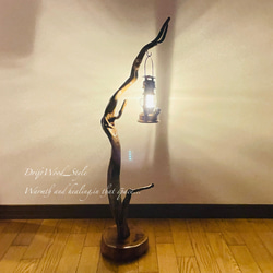 流木インテリア 芸術的にうねる枝の流木スタンド ランタンやエアプラントを飾れる置物 北欧 照明 木材 癒し N56 9枚目の画像