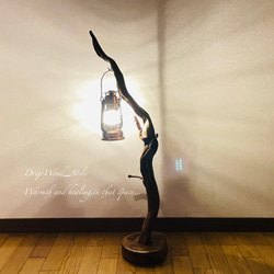 流木インテリア 芸術的にうねる枝の流木スタンド ランタンやエアプラントを飾れる置物 北欧 照明 木材 癒し N56 6枚目の画像