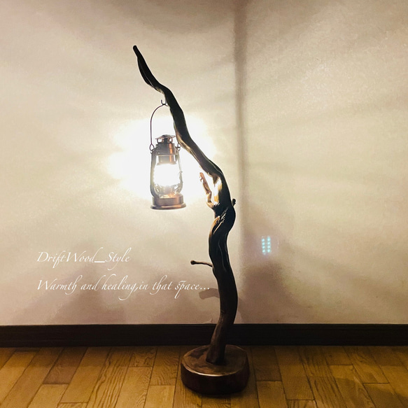 流木インテリア 芸術的にうねる枝の流木スタンド ランタンやエアプラントを飾れる置物 北欧 照明 木材 癒し N56 6枚目の画像