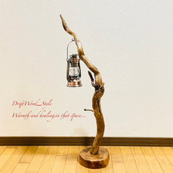 流木インテリア 芸術的にうねる枝の流木スタンド ランタンやエアプラントを飾れる置物 北欧 照明 木材 癒し N56 7枚目の画像