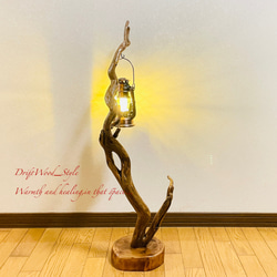 流木インテリア 芸術的にうねる枝の流木スタンド ランタンやエアプラントを飾れる置物 北欧 照明 木材 癒し N56 12枚目の画像