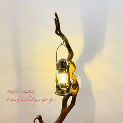 流木インテリア 芸術的にうねる枝の流木スタンド ランタンやエアプラントを飾れる置物 北欧 照明 木材 癒し N56 11枚目の画像