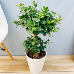 7b52d793c4382e9953651882cf1ec7