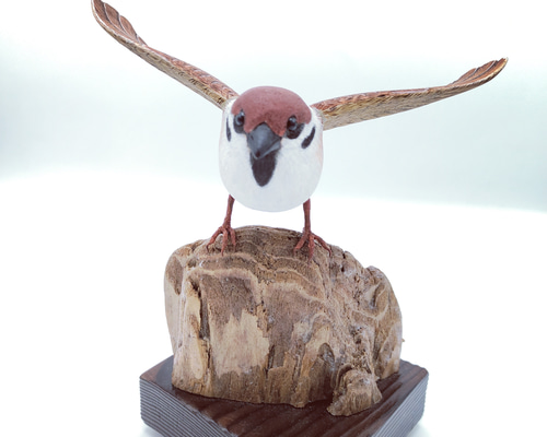 リアルバードカービング　野鳥「モズ」　野鳥彫刻　木彫り野鳥　ハンドメイド　一点物 ハヤブサ、モズ…野鳥のそっくり彫刻作品展 甲府市立図書館 | 毎日新聞
