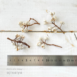 ナンキンハゼ ヘッド　　【ドライフラワー】　南京ハゼ　トウハゼ 3枚目の画像