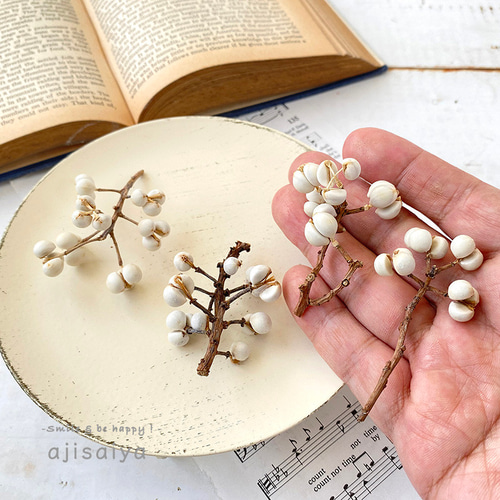 ナンキンハゼ ヘッド 【ドライフラワー】 南京ハゼ トウハゼ