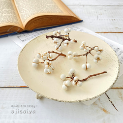 ナンキンハゼ ヘッド　　【ドライフラワー】　南京ハゼ　トウハゼ 1枚目の画像