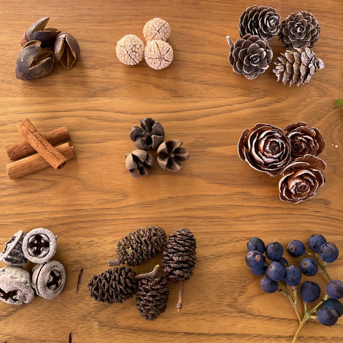木の実セット　クリスマス花材　クールカラー 木の実&花材セット 木の実 クリスマス no.4 ドライフラワー