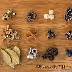 木の実セット　クリスマス花材　クールカラー 木の実&花材セット 木の実 クリスマス no.4 ドライフラワー Forest