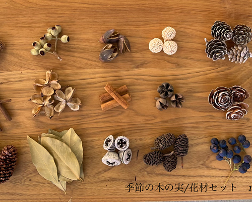 木の実セット　クリスマス花材　クールカラー 木の実のリース クリスマス オーナメント 飾り 誕生日 お祝い