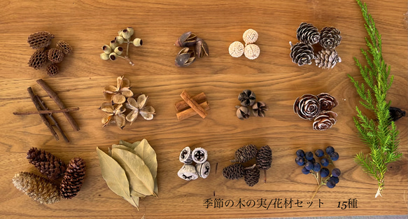 ドライフラワー 木の実アソートセット 全15種 クリスマス装飾に