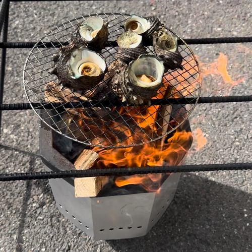 バーベキューコンロ テーブル 囲炉裏 丸形 ファイヤーピット 焚き火台