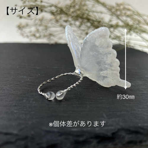 イヤーカフ】氷の蝶（片耳用） イヤーカフ カラスのコフレ 通販