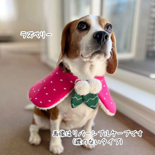 犬服 ポンポン付きケープ いちご ノルディック エコファー クリスマス