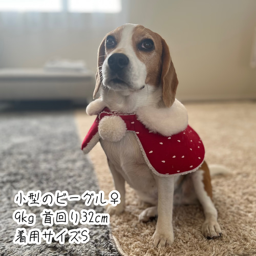 犬服 ポンポン付きケープ いちご ノルディック エコファー クリスマス