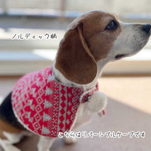 犬服 ポンポン付きケープ いちご ノルディック エコファー クリスマス