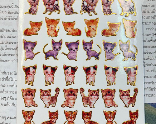 3781796af4dcc347b560aa7f06b77b