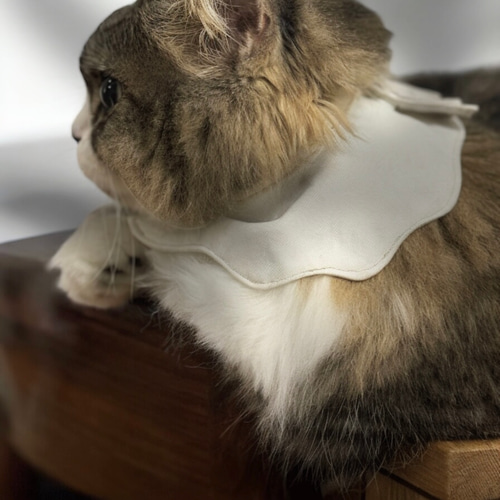 ハンドメイド わんちゃん ねこちゃん プリーツ＆フリル スタイ ペット