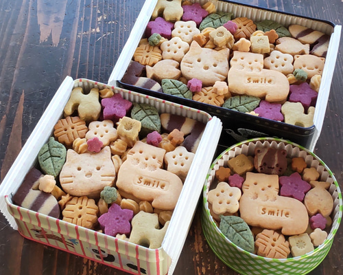 9f91257642653ce41caeb6ff1c8d4d