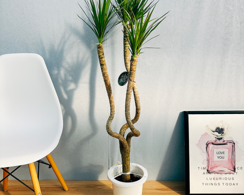 1b7b807821c4f9073ddd4f482fadc1