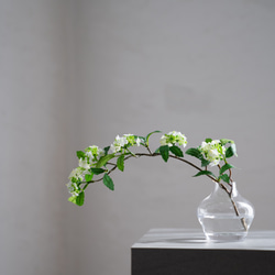 （水換え不要）コデマリの小瓶挿し 3枚目の画像