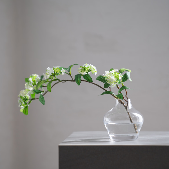 （水換え不要）コデマリの小瓶挿し 1枚目の画像