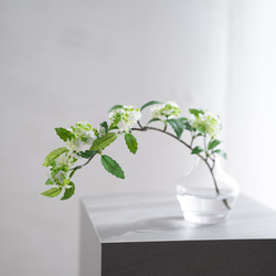 （水換え不要）コデマリの小瓶挿し 5枚目の画像