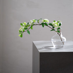 （水換え不要）コデマリの小瓶挿し 6枚目の画像