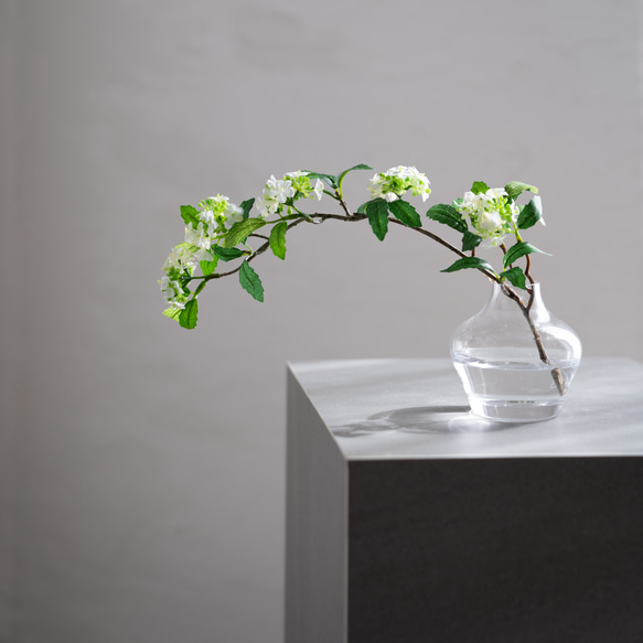 （水換え不要）コデマリの小瓶挿し 6枚目の画像