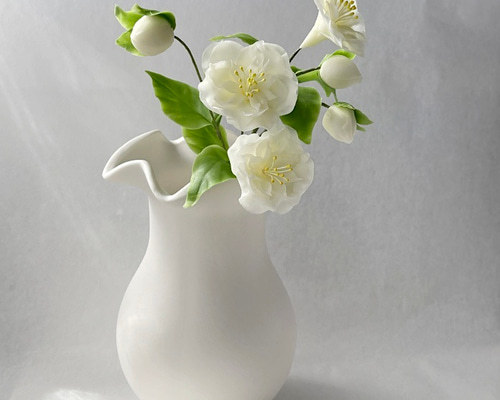 a5544c528731d561ab15fd7d0b9115