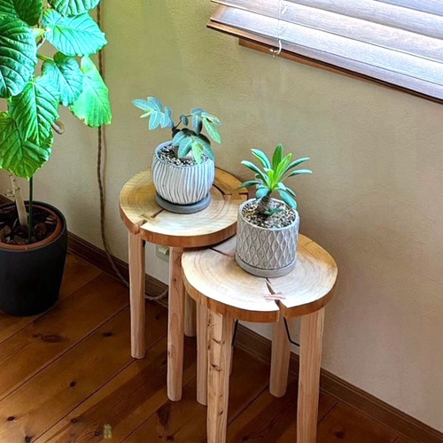 花台天然木切り株