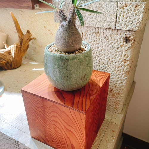 希少！屋久杉の花台 一輪挿し・花瓶・花器 8929 通販 18488966｜Creema