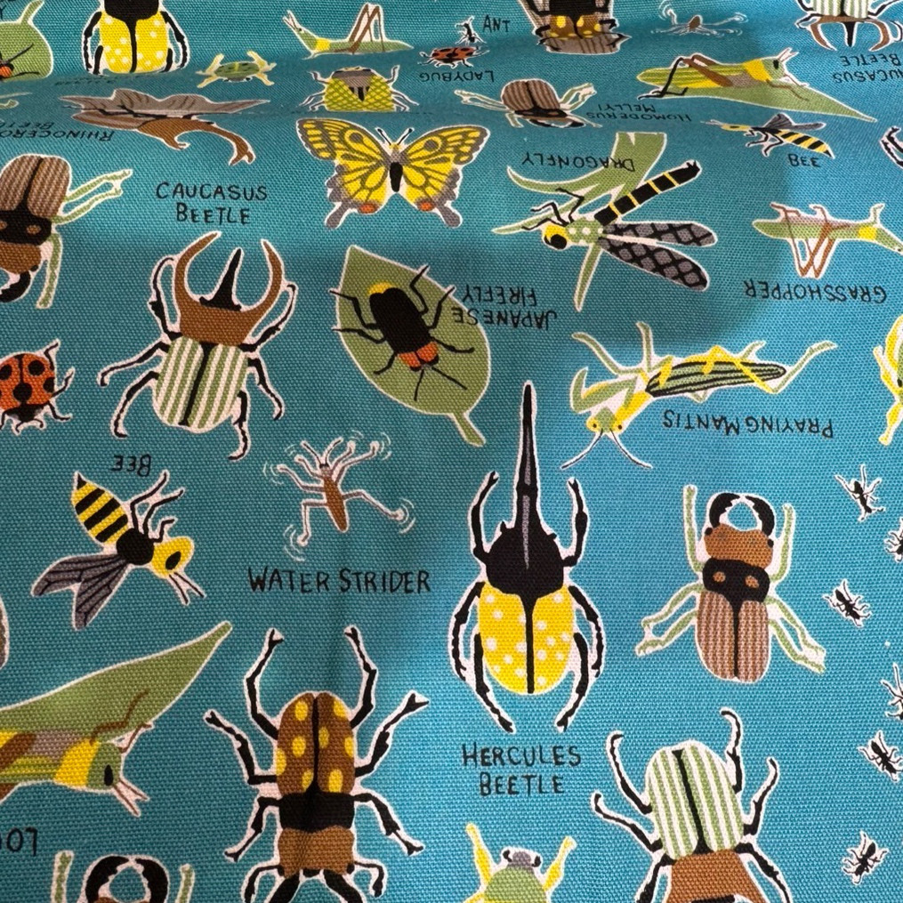 昆虫 生地紹介ページ