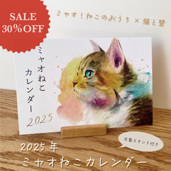 【新春SALE 1,300円→910円】2025 猫の水彩画卓上カレンダー 1枚目の画像