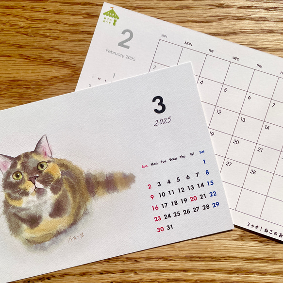 【新春SALE 1,300円→910円】2025 猫の水彩画卓上カレンダー 3枚目の画像