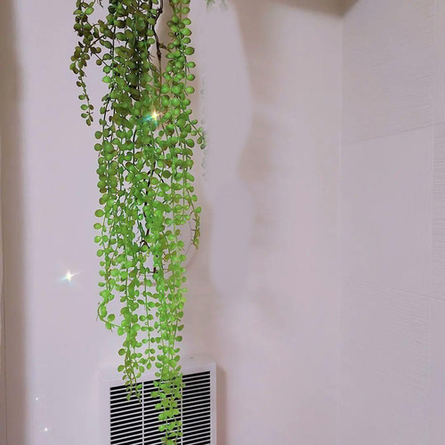 送料無料］希少品ビーンバイン 人工観葉植物 造花 インテリア アート 