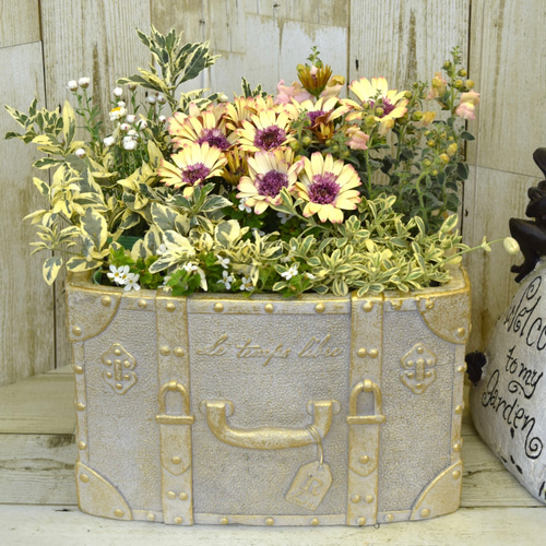 期間限定SALE【4780円→3880円】 トランク カバン 植木鉢 プランター