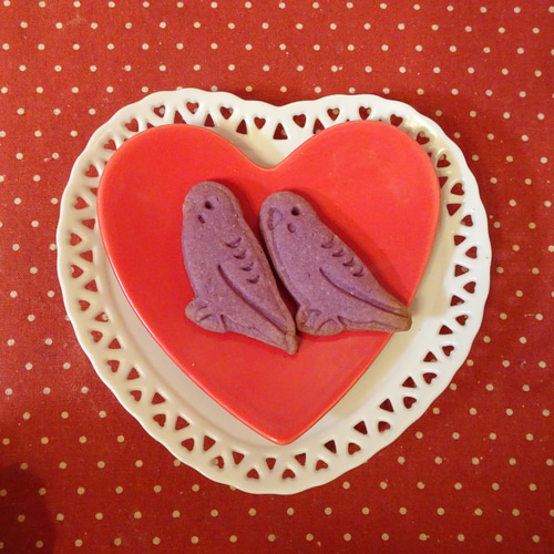 ワイヤー製鳥かごに鳥の形のクッキー5種類詰め合わせ