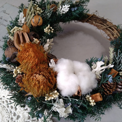 Natural~*~クリスマスリースネイティブ☆ドライフラワーリース