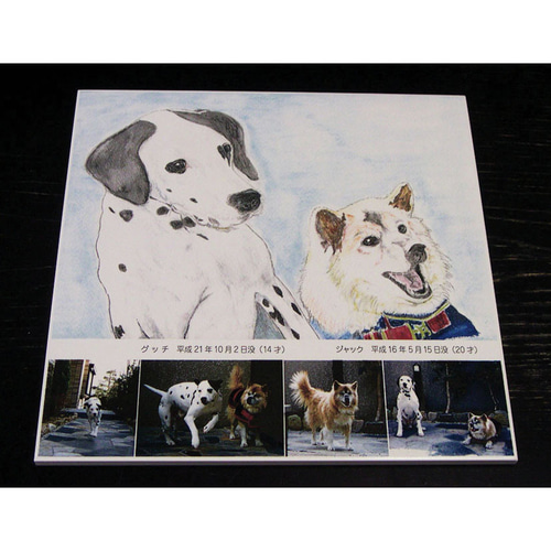 15×20cm角フォトタイル フルカラー写真・イラストなどのオリジナル